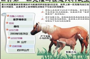 奇妙的克隆ppt课件 精选版下载，奇妙的克隆ppt课件 精选版免收费下载安装