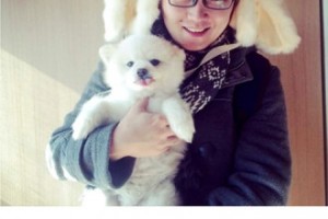 任务兔app下载，任务兔app免收费下载安装