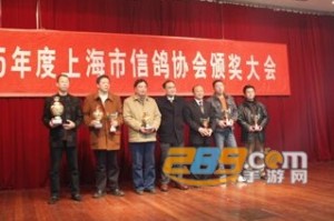 中鸽网app下载，中鸽网app免收费下载安装