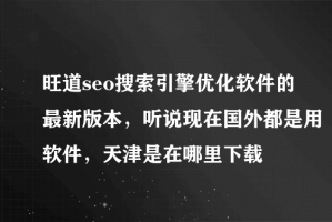 旺道SEO推广系统下载，旺道SEO推广系统免收费下载安装