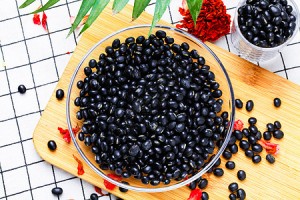 黑豆QQ号网名批量查询下载，黑豆QQ号网名批量查询免收费下载安装